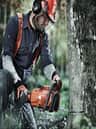 A small picture of chainsaws