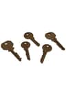 A small picture of locks keys